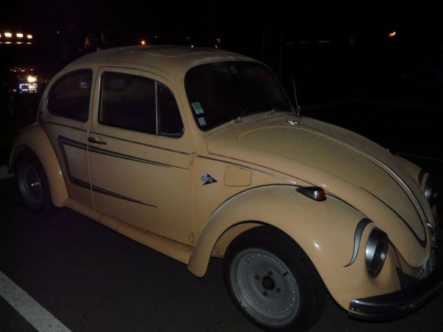 photo32.jpg